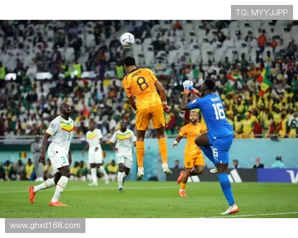 以七次零封追平纪录门迪书写塞内加尔非洲杯门将传奇赛场历史