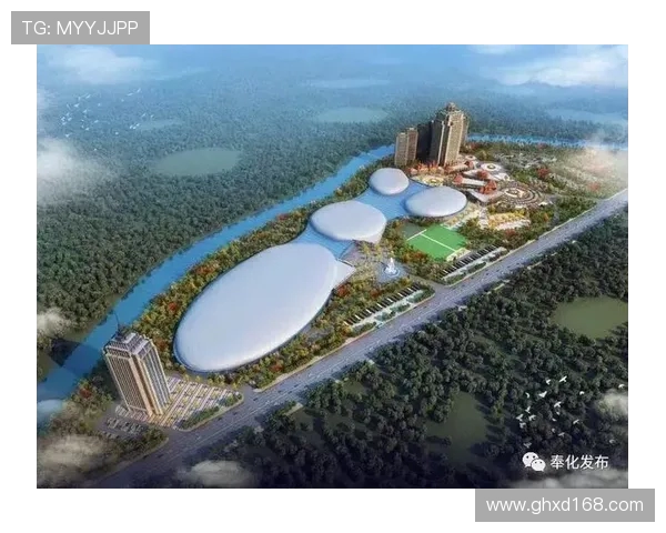 全球体育产业投资领域的风险预警指标谈